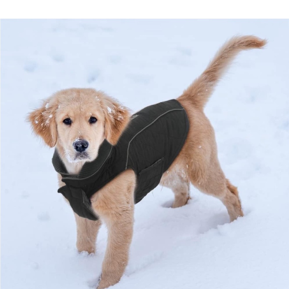 🌟NWOT! EMUST Black Dog Coat.